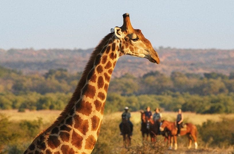 Masai Mara Escape — Kenya safari