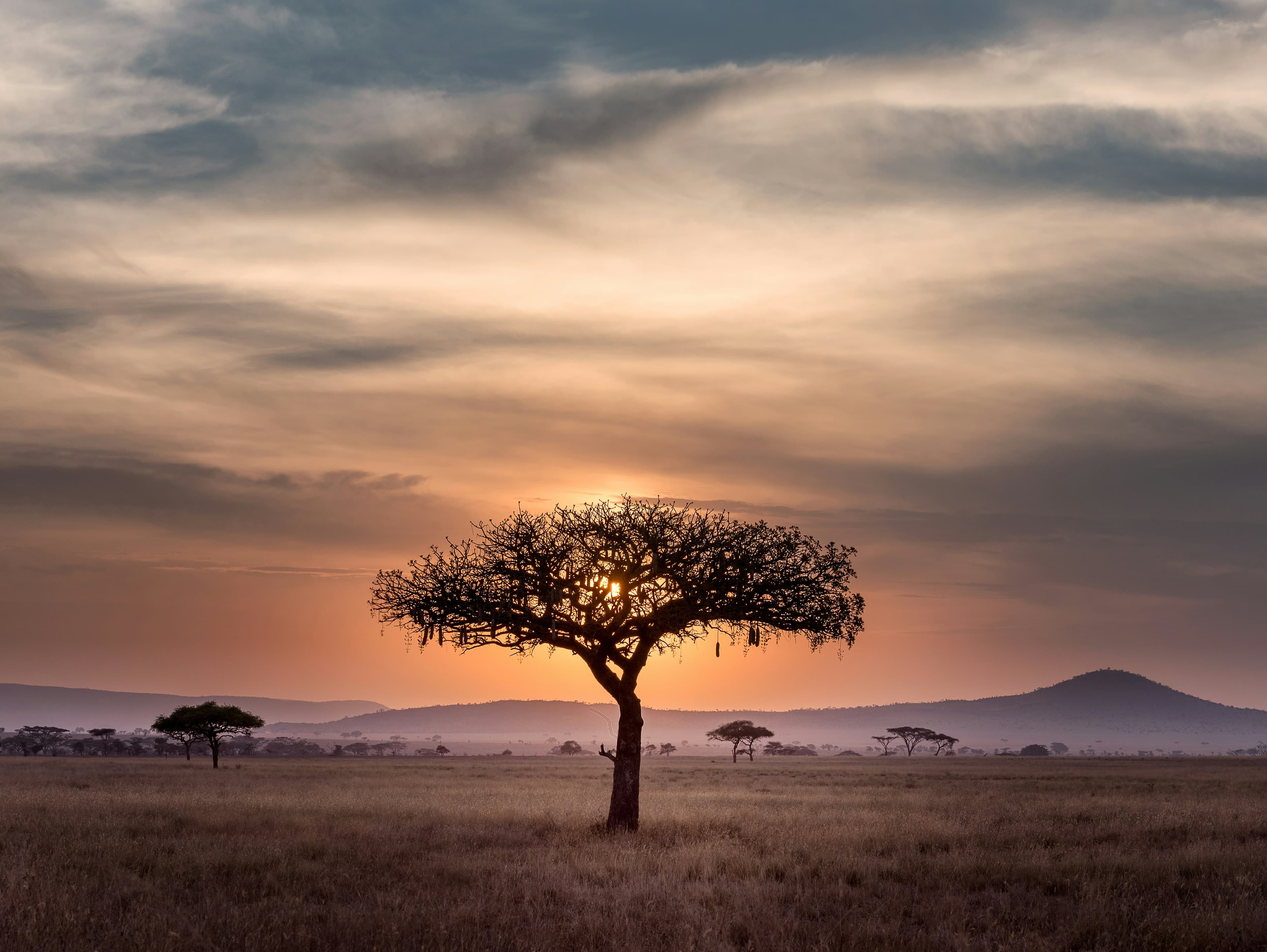 Classic Kenya Safari — Kenya safari