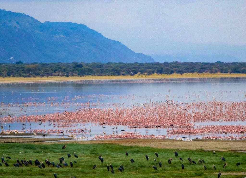 Lake Manyara, Tanzania