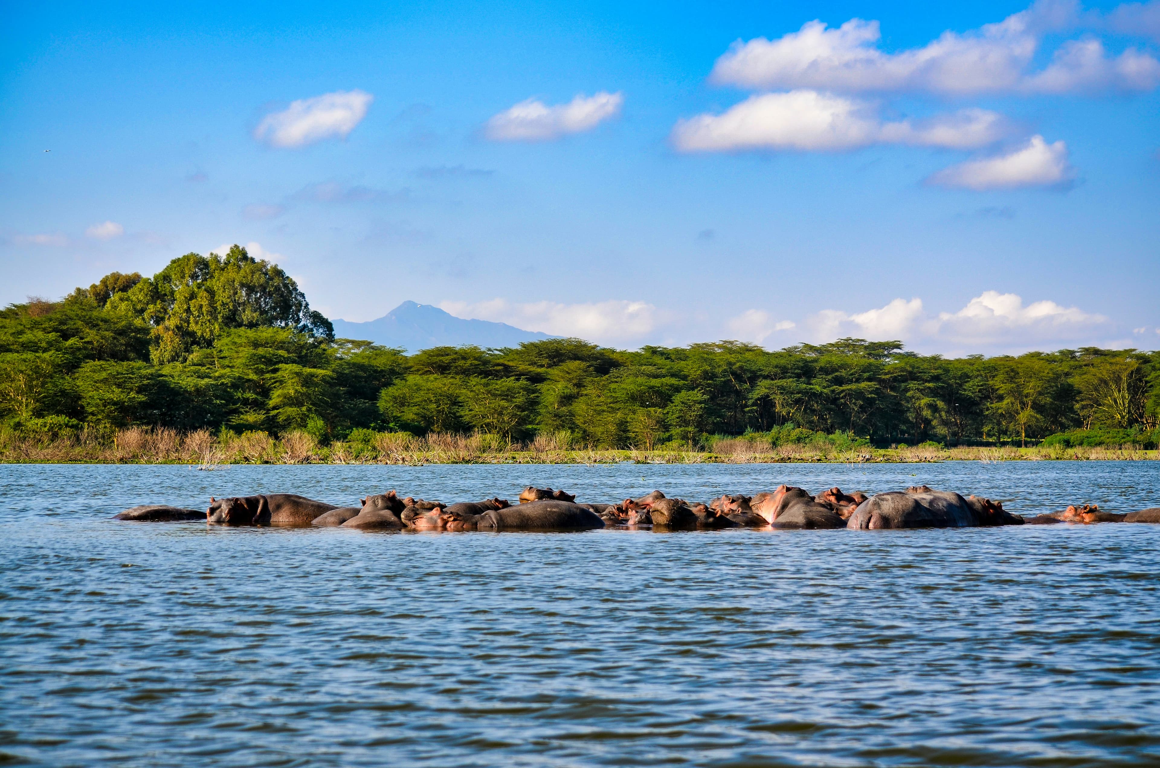 Lake Naivasha, Kenya