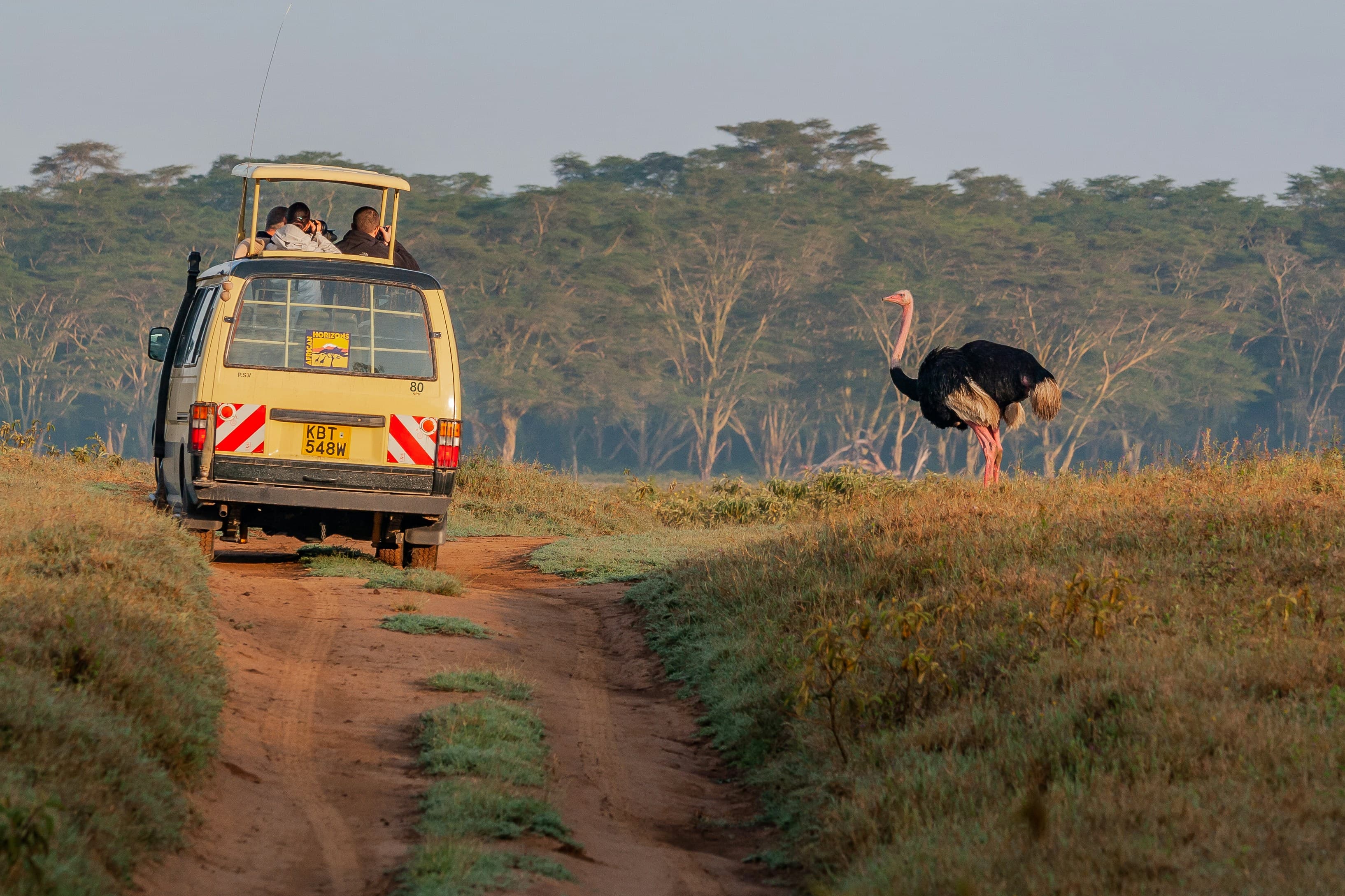 Masai Mara, Kenya