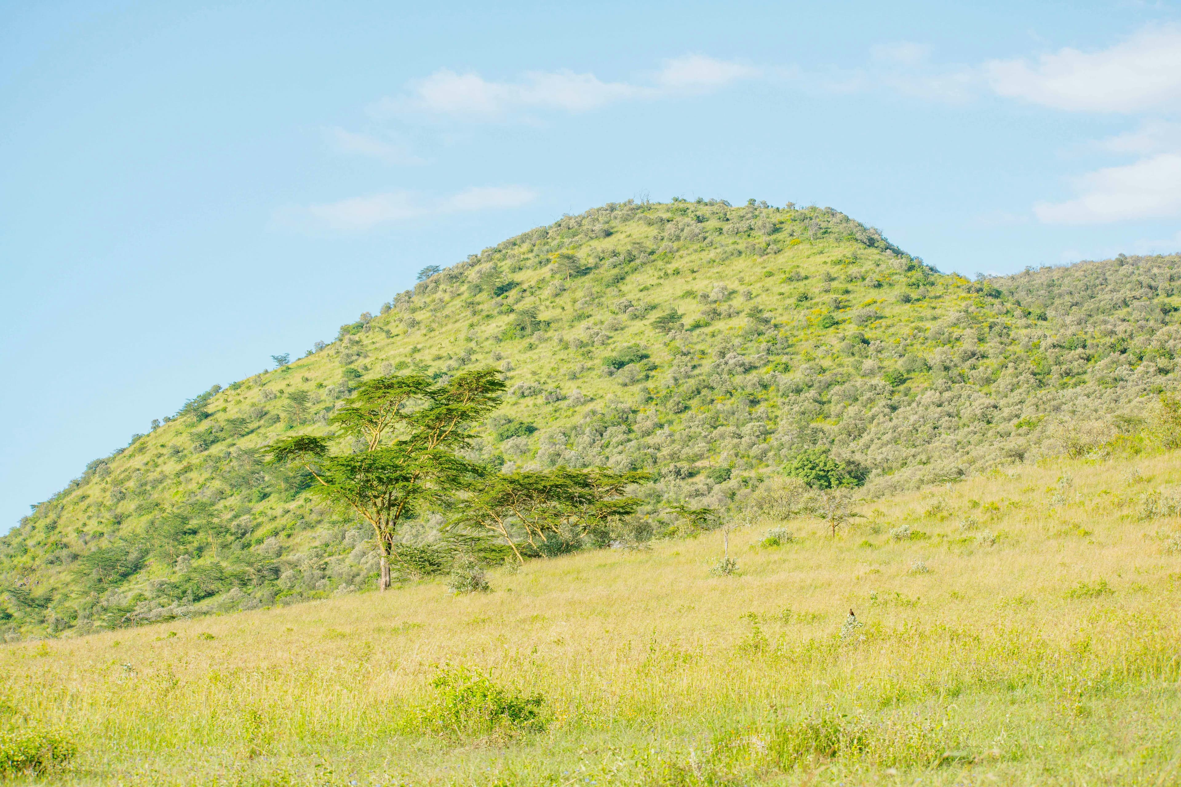 Great Rift & Mara — Kenya safari