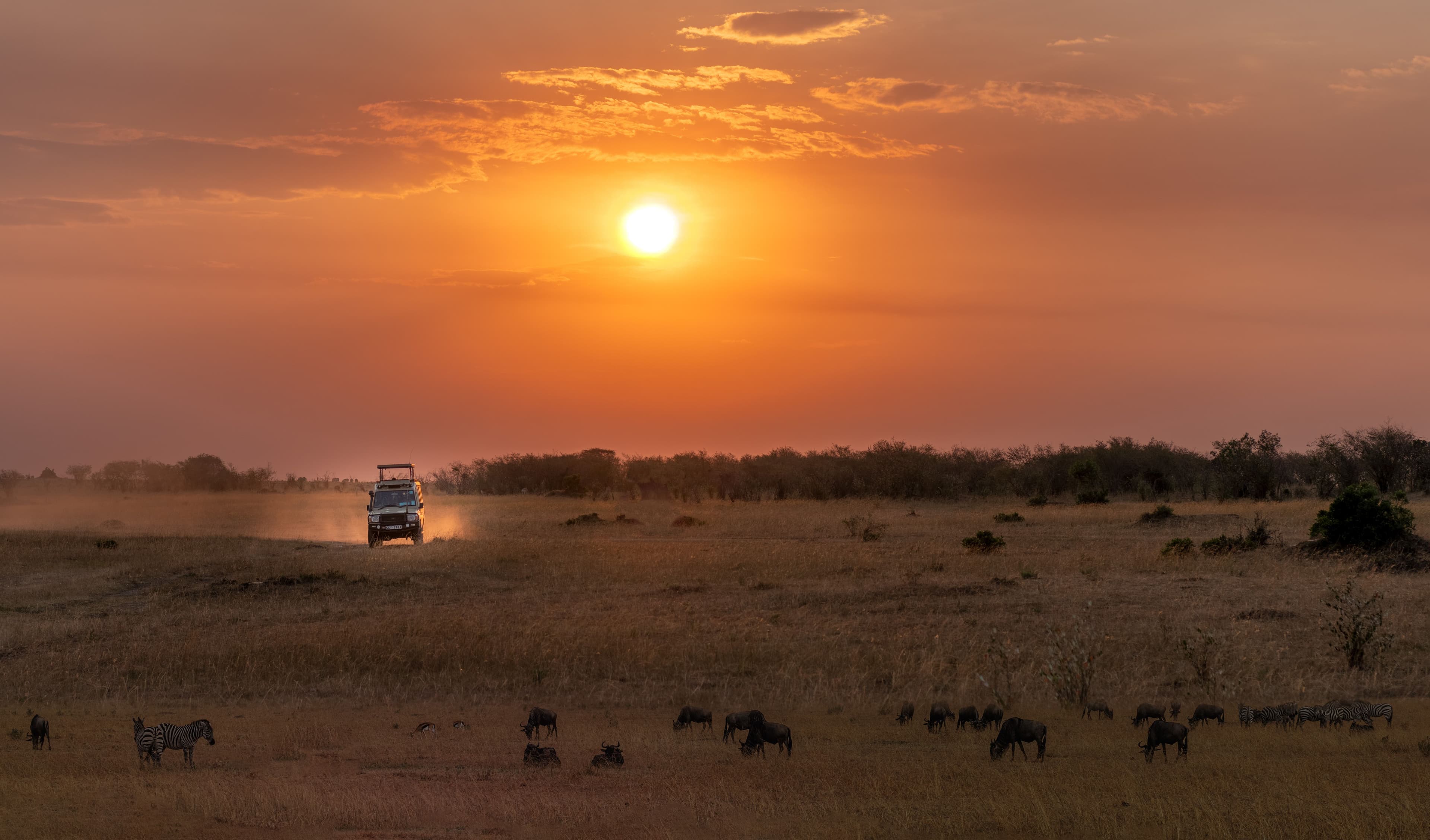 Kenya Value Safari Packages