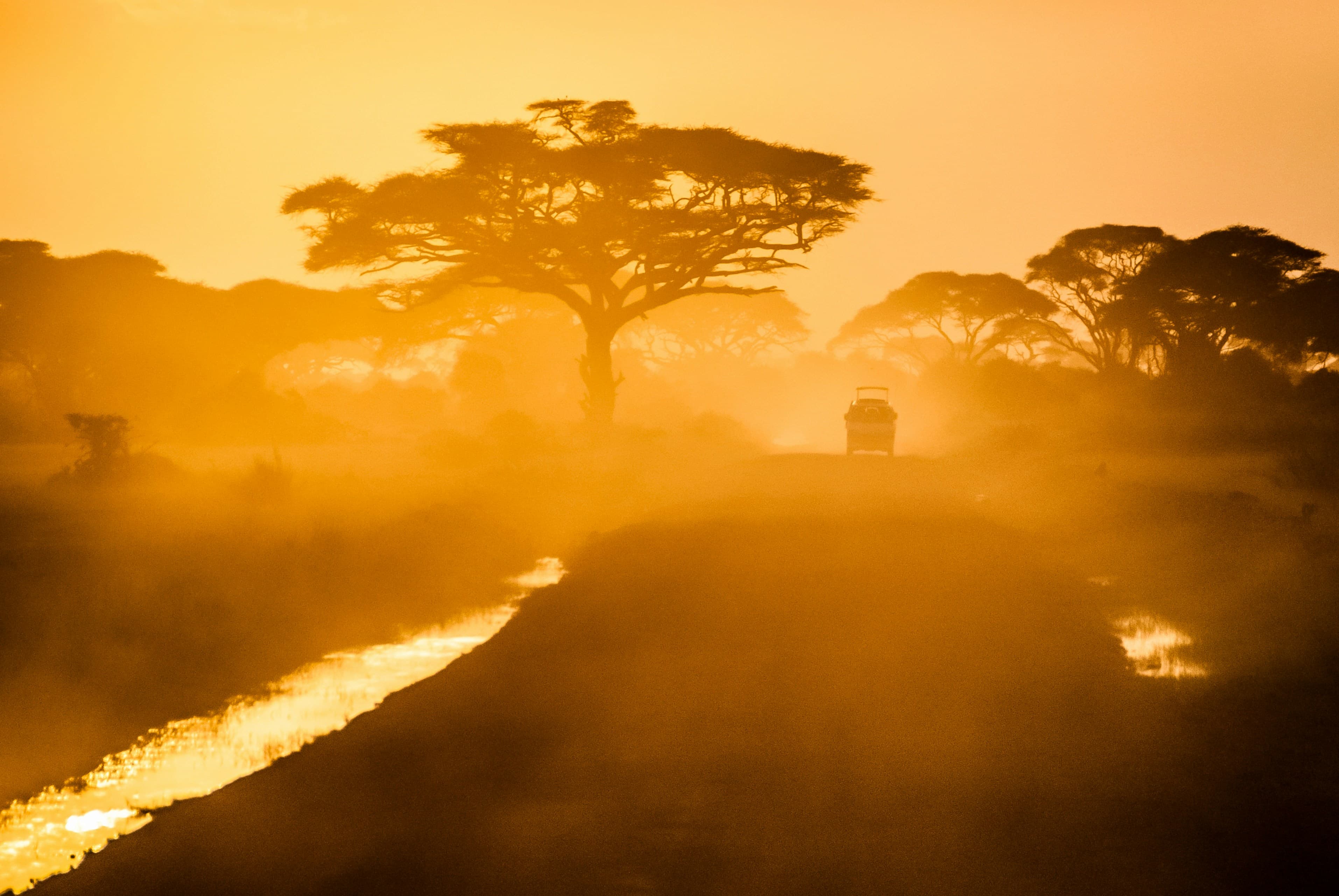 Big Five & Kilimanjaro — Kenya safari
