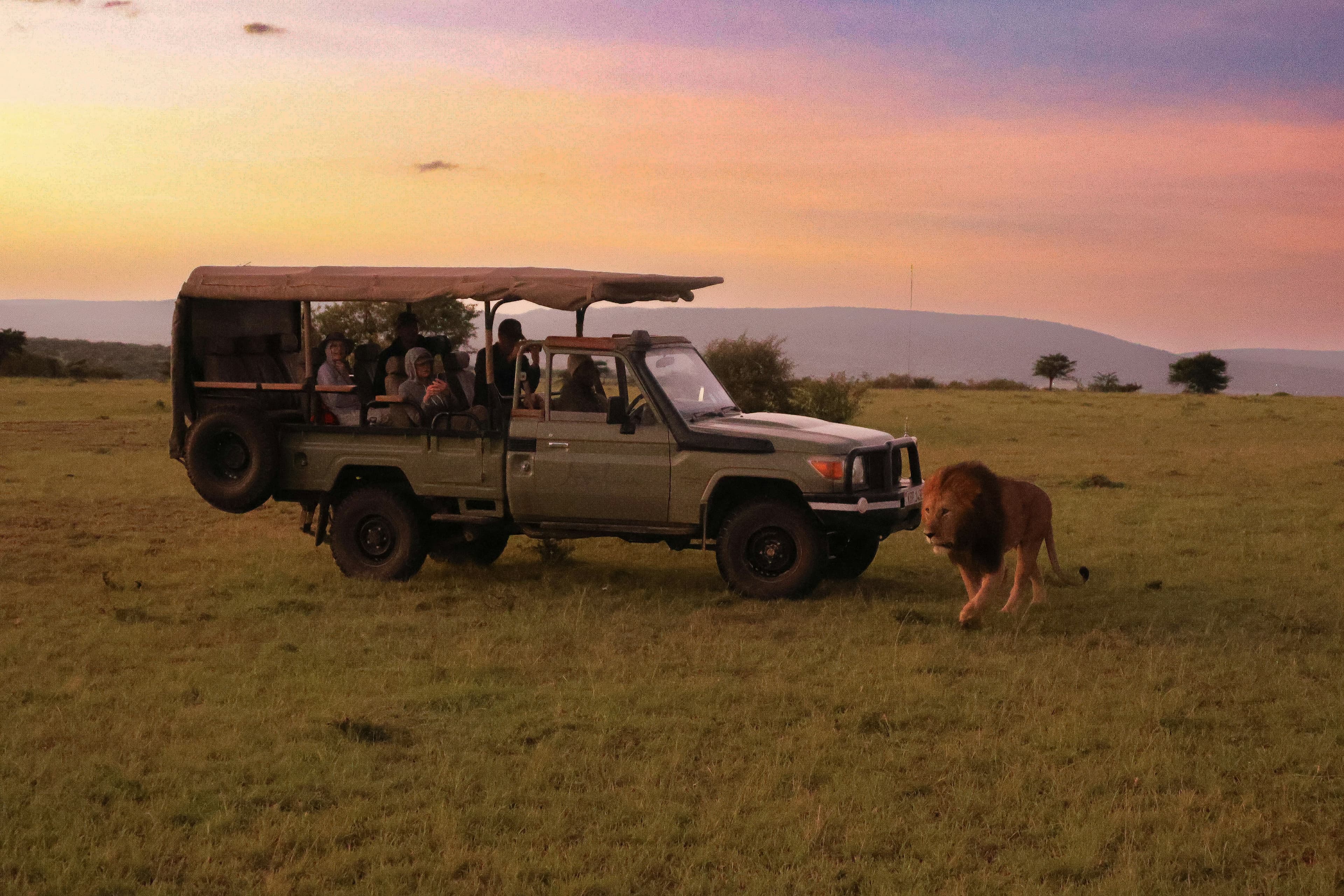 Big Five & Kilimanjaro safari