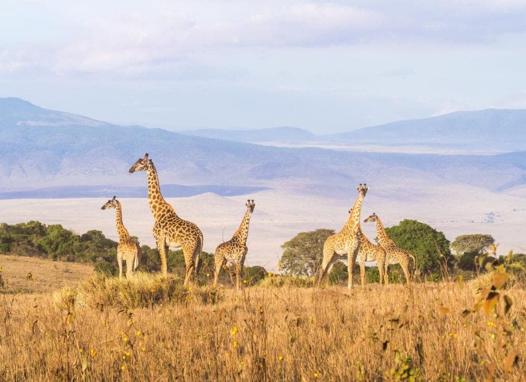 Ngorongoro Crater, Tanzania